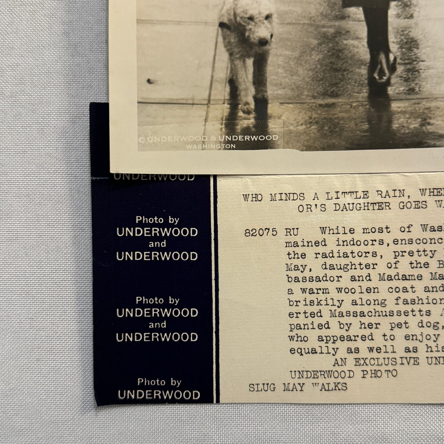 1933 Press Photo Photograph Daughter of Belgian Ambassador Walking Dog in Rain