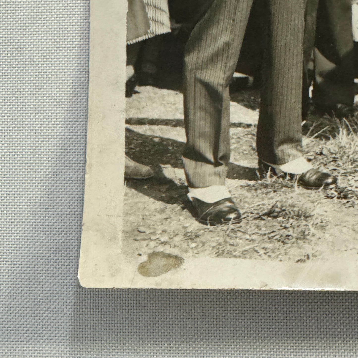 1934 Wedding Press Photo Photograph Horses British Nobles