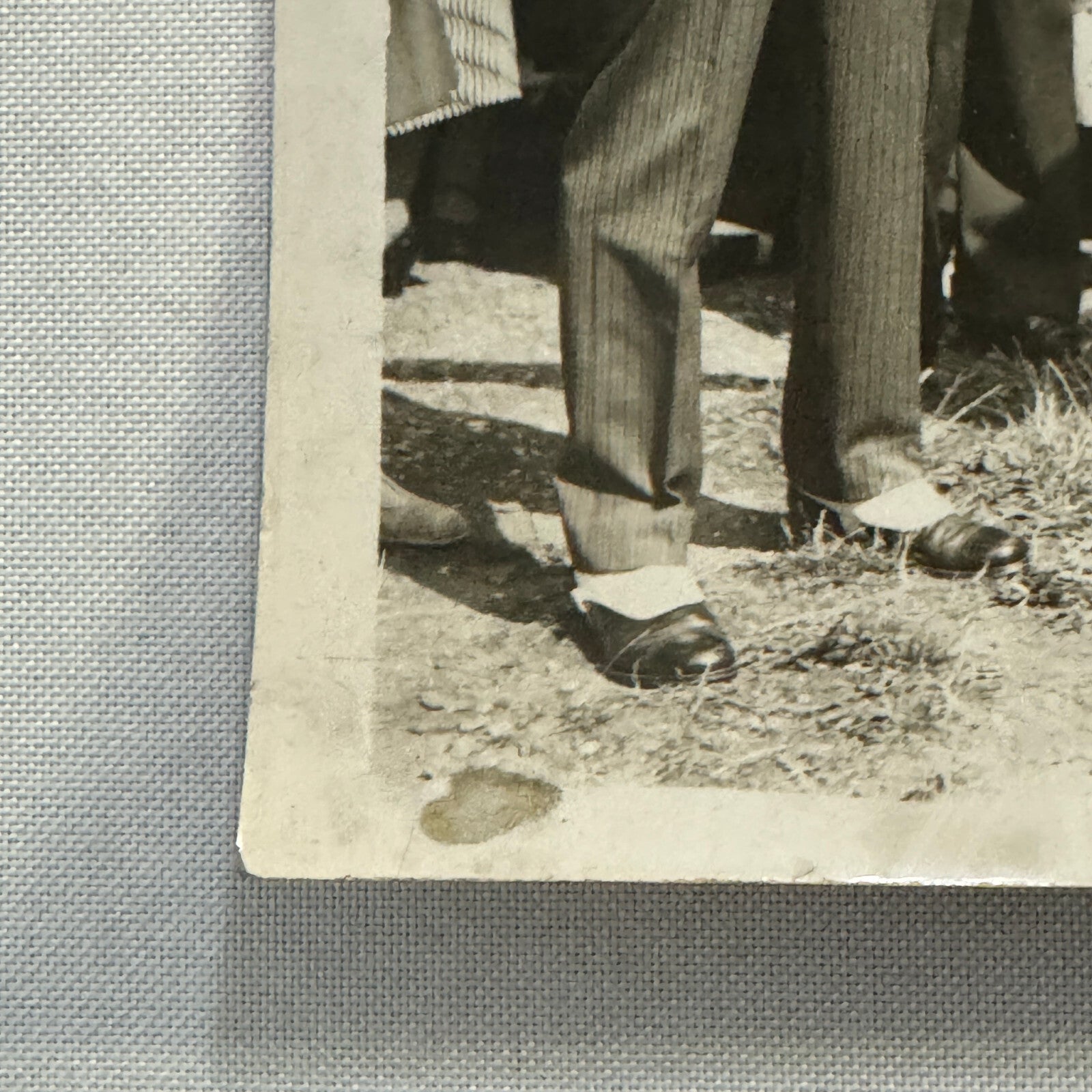 1934 Wedding Press Photo Photograph Horses British Nobles