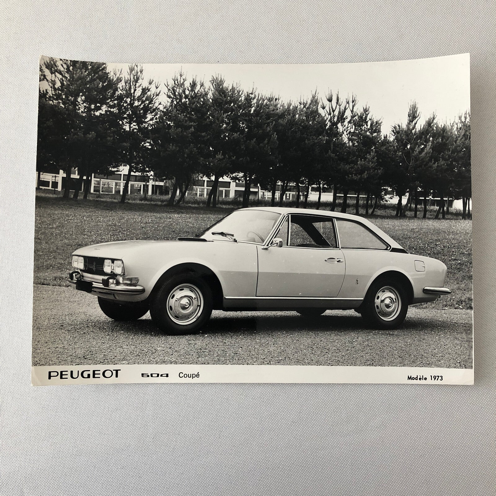 1973 Peugeot 504 Coupe Car Automobile Photo Photograph Print 