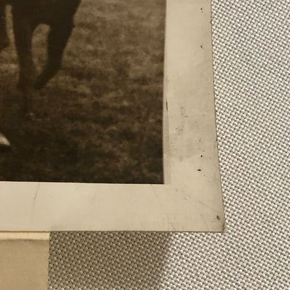 Press Photo Photograph Manchester Horse Racing Race Underwood & Underwood Photo