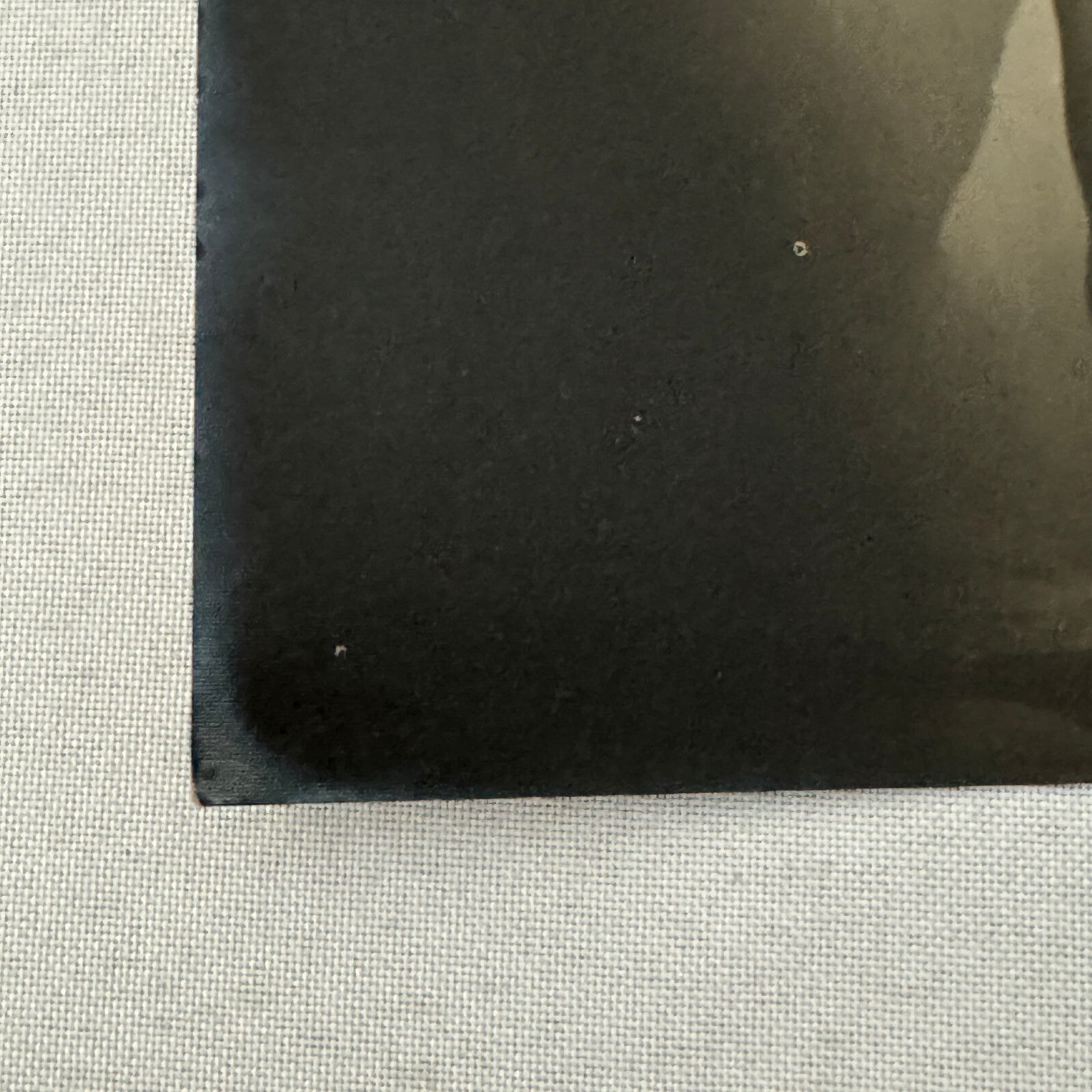 Vintage Circus Rollerskating Roller Skate Act Photo Photograph Lot 2x Carola