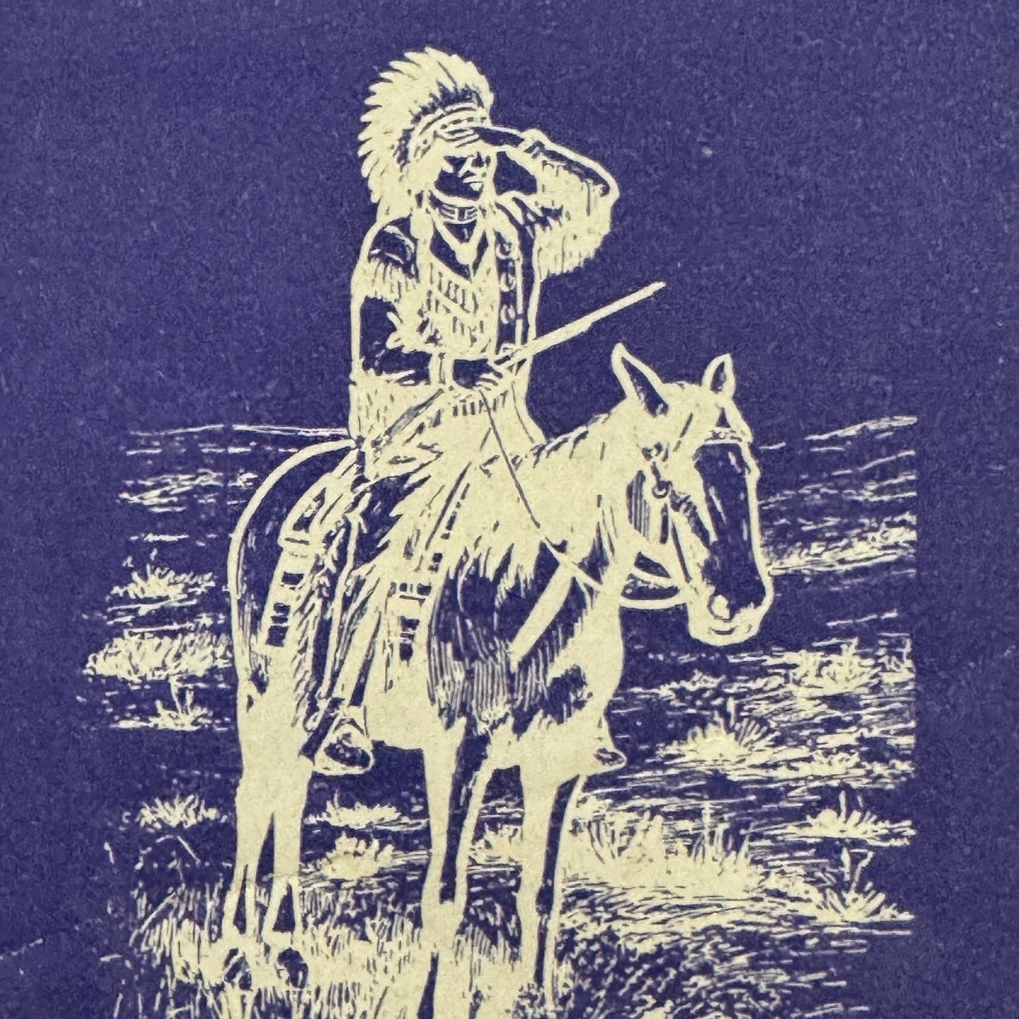 Vintage Travel Luggage Label Arizona State