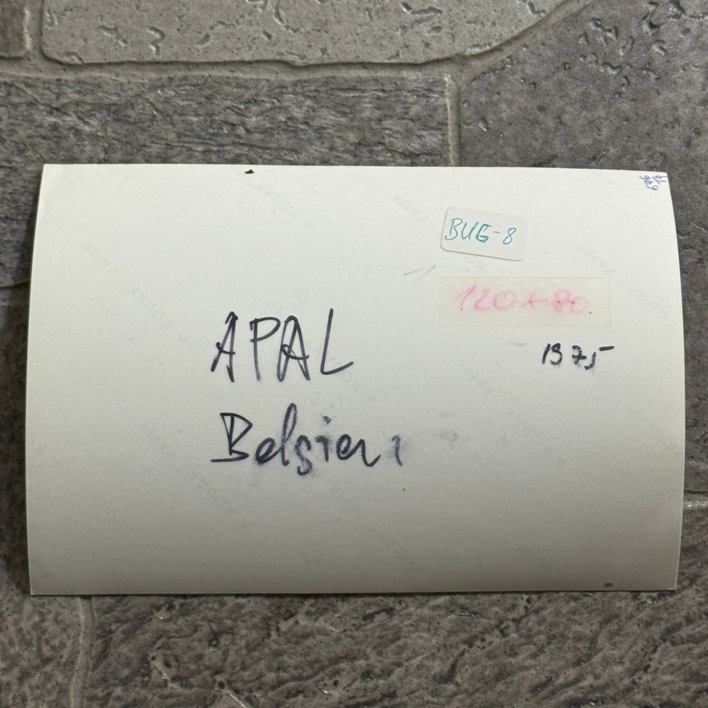 Vintage APAL Dune Buggy Kit Car Photo Photograph Volkswagen VW Chassis