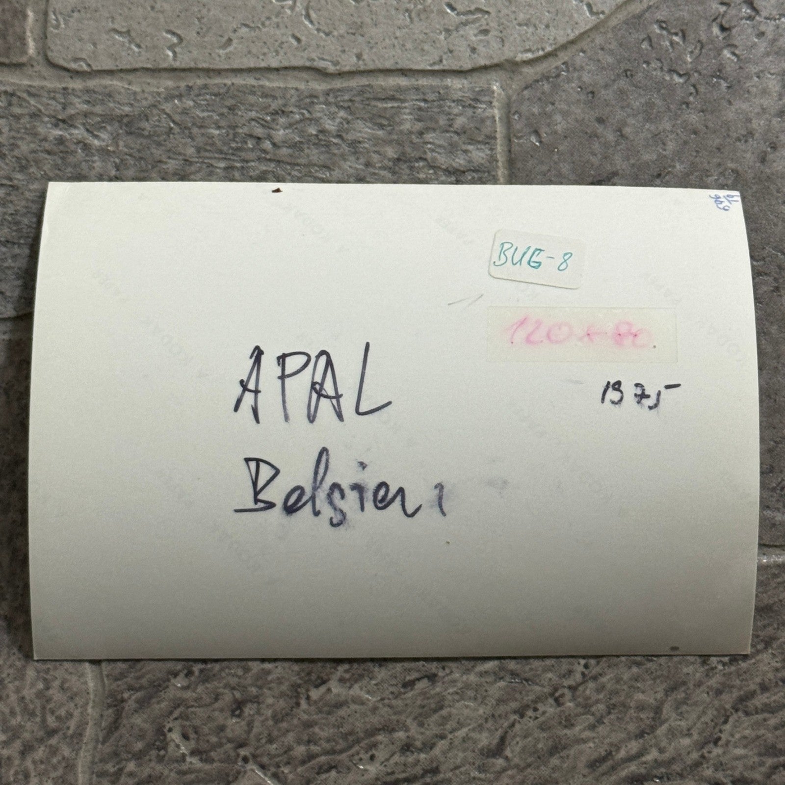 Vintage APAL Dune Buggy Kit Car Photo Photograph Volkswagen VW Chassis