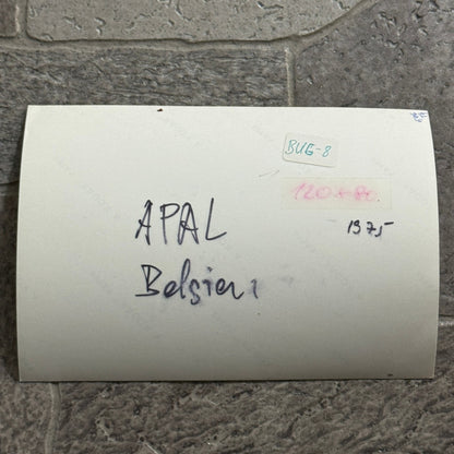 Vintage APAL Dune Buggy Kit Car Photo Photograph Volkswagen VW Chassis