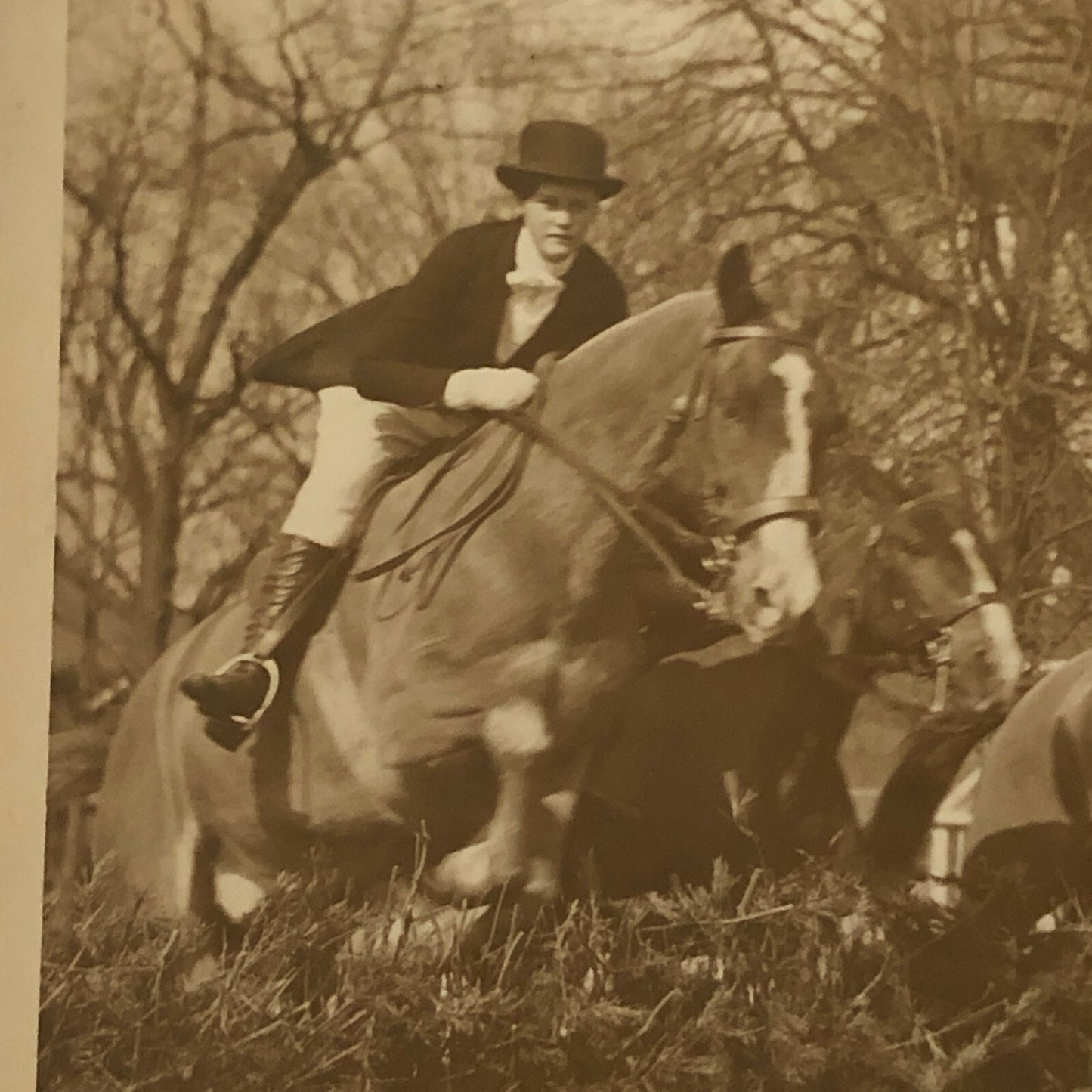 Press Photo Photograph Show Horse Jumping Fort Myer 1932