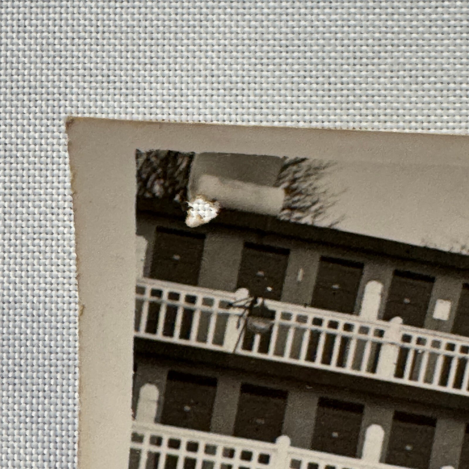 Circus Rollerskating Roller Skate Circus Act Photo Photograph The Skating Jewels