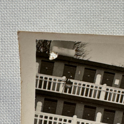 Circus Rollerskating Roller Skate Circus Act Photo Photograph The Skating Jewels