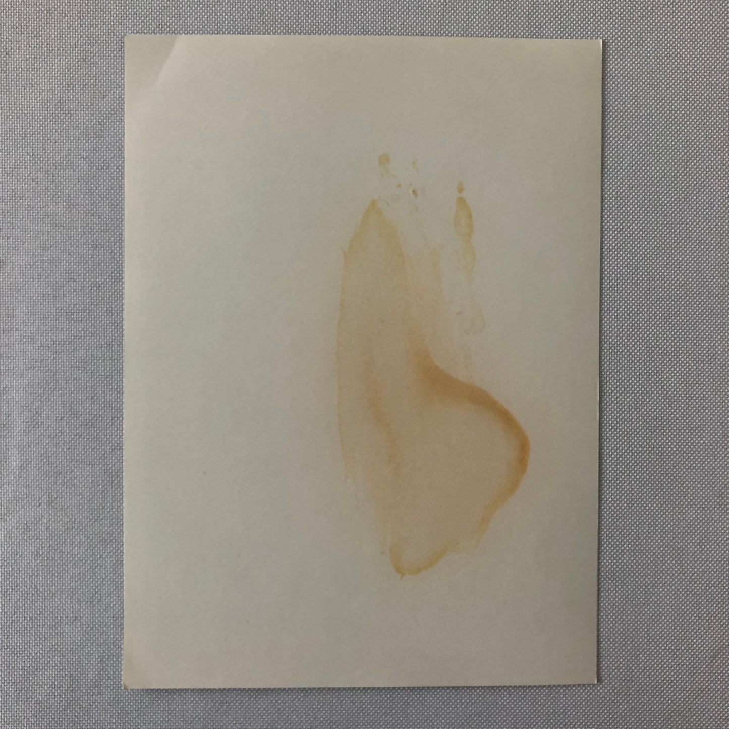 Vintage Racing Photo Photograph Marlboro Racing BRM Car