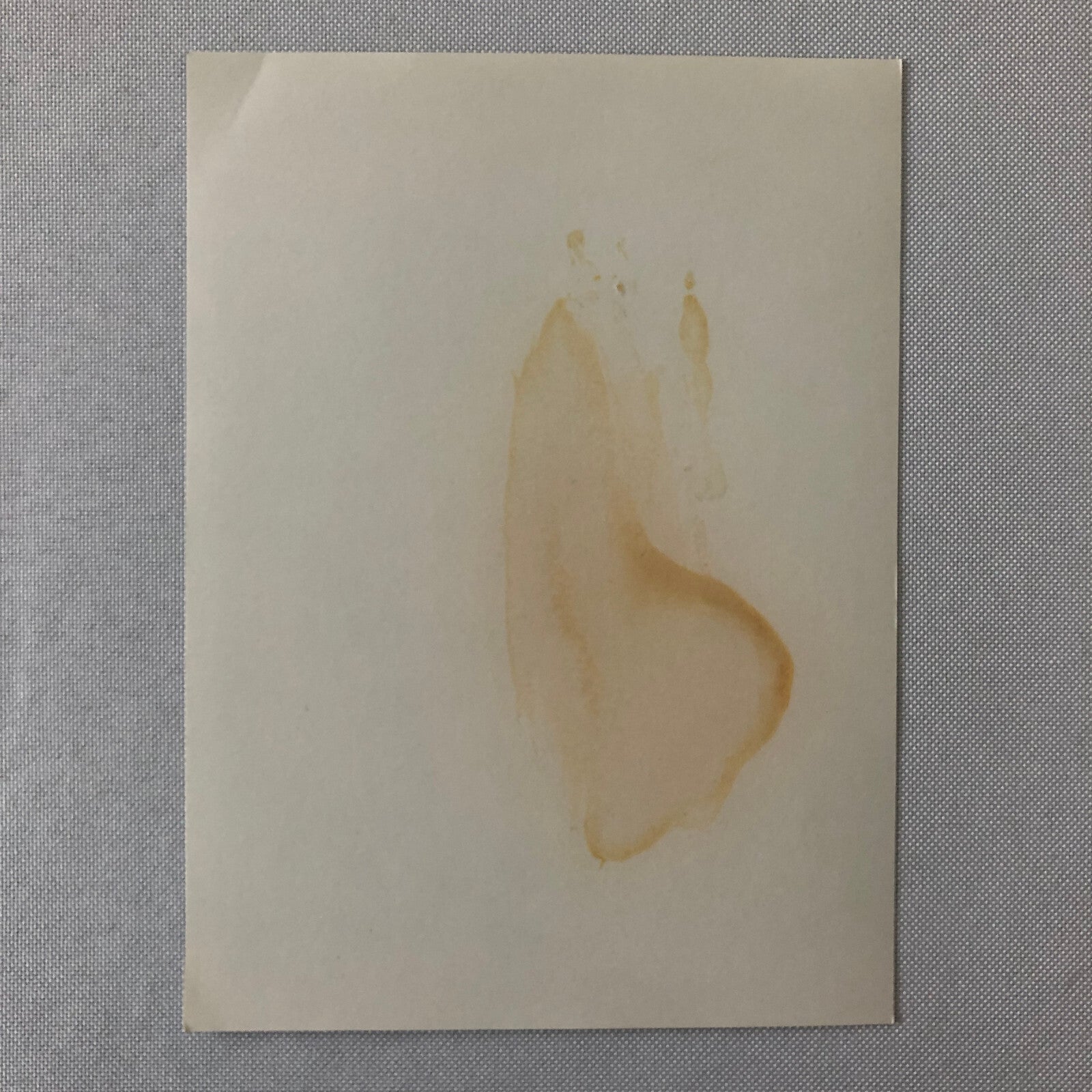 Vintage Racing Photo Photograph Marlboro Racing BRM Car