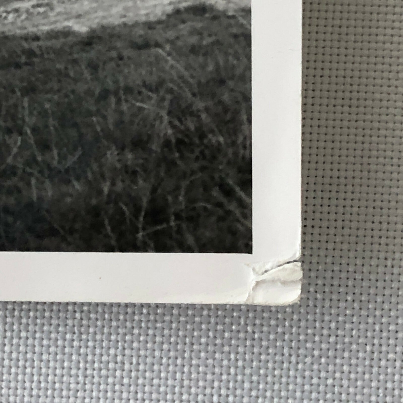 Vintage British Double Decker Bus Photo Transportation Photograph