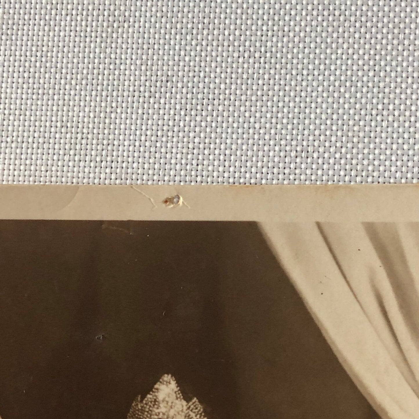 Circus Performer Dancer Acrobat Real Photo Postcard Post Card RPPC Photograph