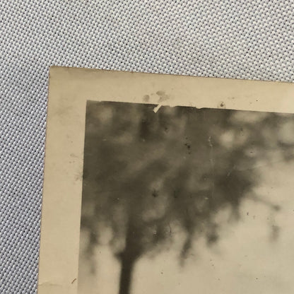 Press Photo Photograph Portrait Daughter of American Diplomat to Egypt 1931