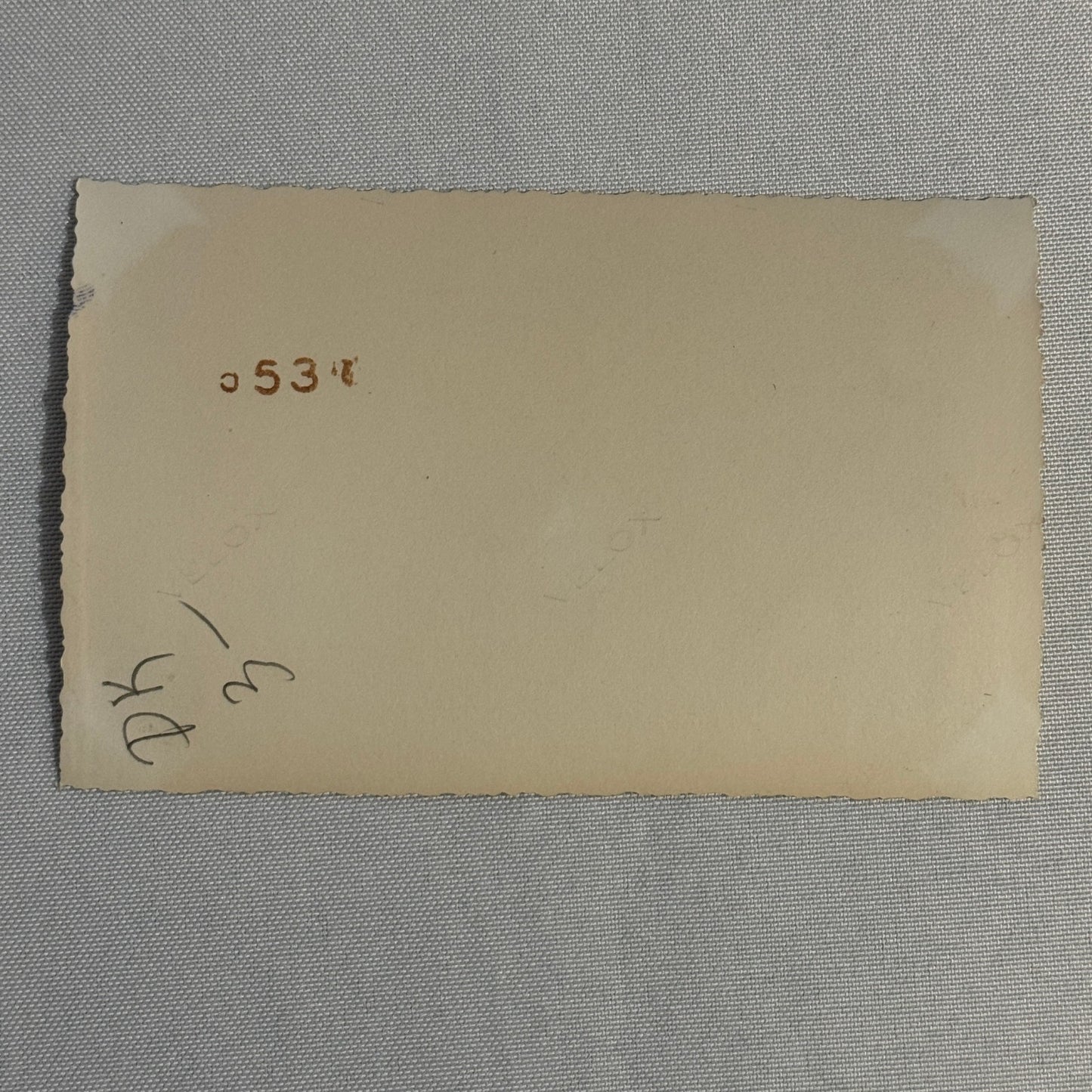 Vintage Automobile Photo Photograph Print Snapshot Car Lot 2x