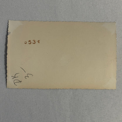 Vintage Automobile Photo Photograph Print Snapshot Car Lot 2x