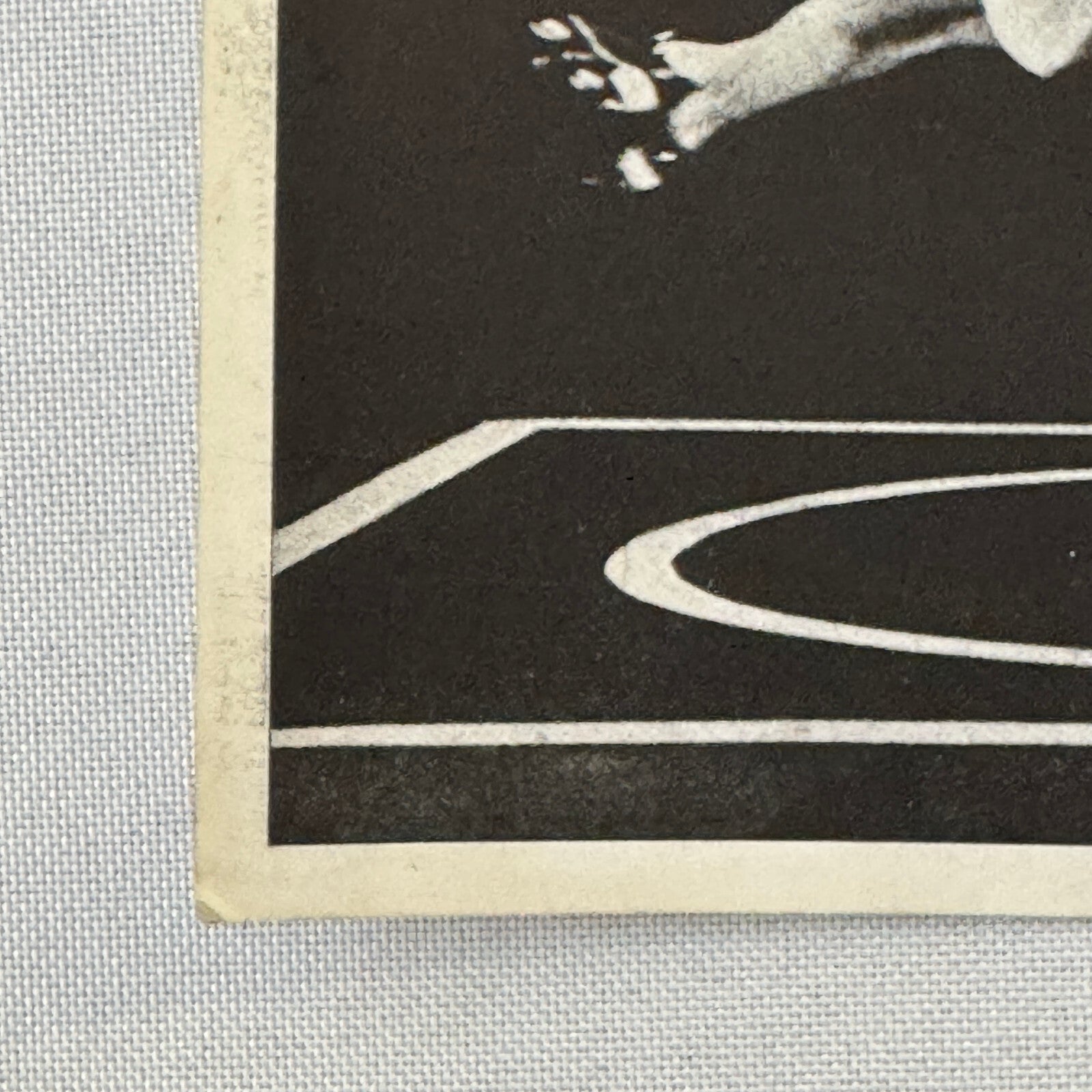 Circus Rollerskating Roller Skate Circus Act Flyer Advertising 2 Donalds