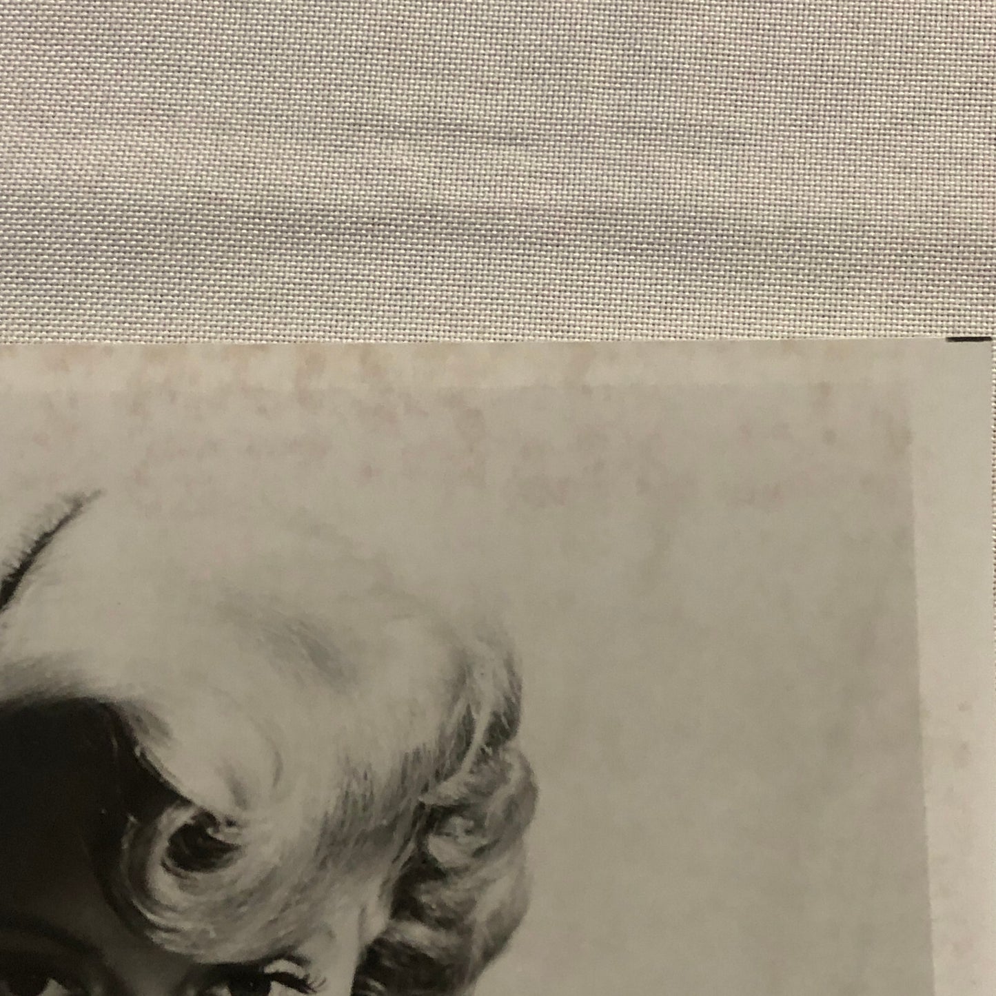 Lana Turner Hollywood Movie Star Actress Photo Photograph