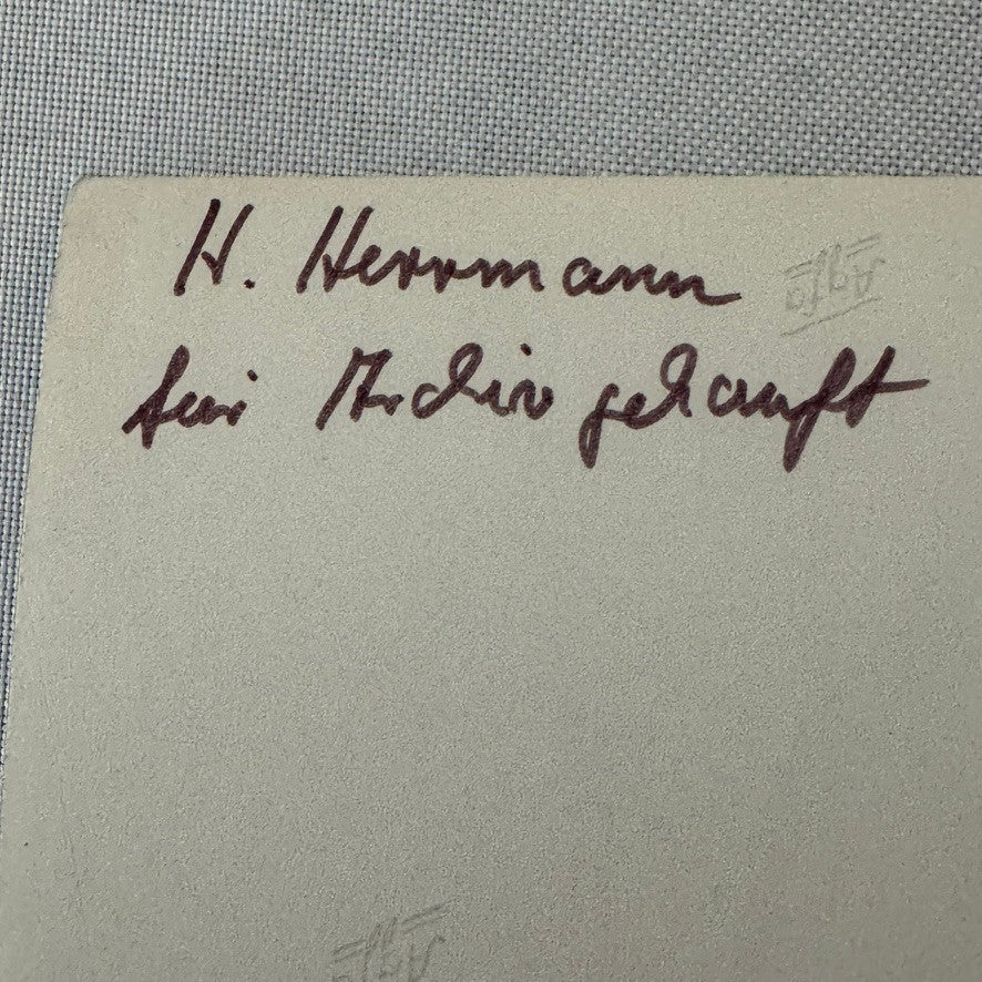 Vintage Racing Hans Hermann Driver Photo Photograph Print