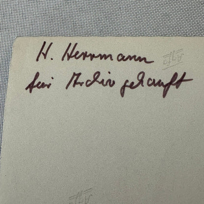 Vintage Racing Hans Hermann Driver Photo Photograph Print