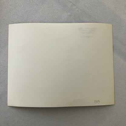 Volkswagen VW Beetle Factory Press Photo Photograph Print 1959