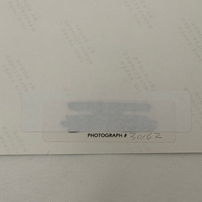 Vintage 1949 Cadillac Fastback Car Automobile Photo Photograph Modern Print