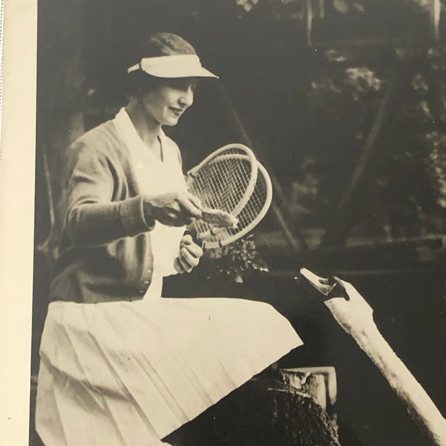 Vintage Press Photo photograph Tennis Star Helen Wills Moody with Swans England