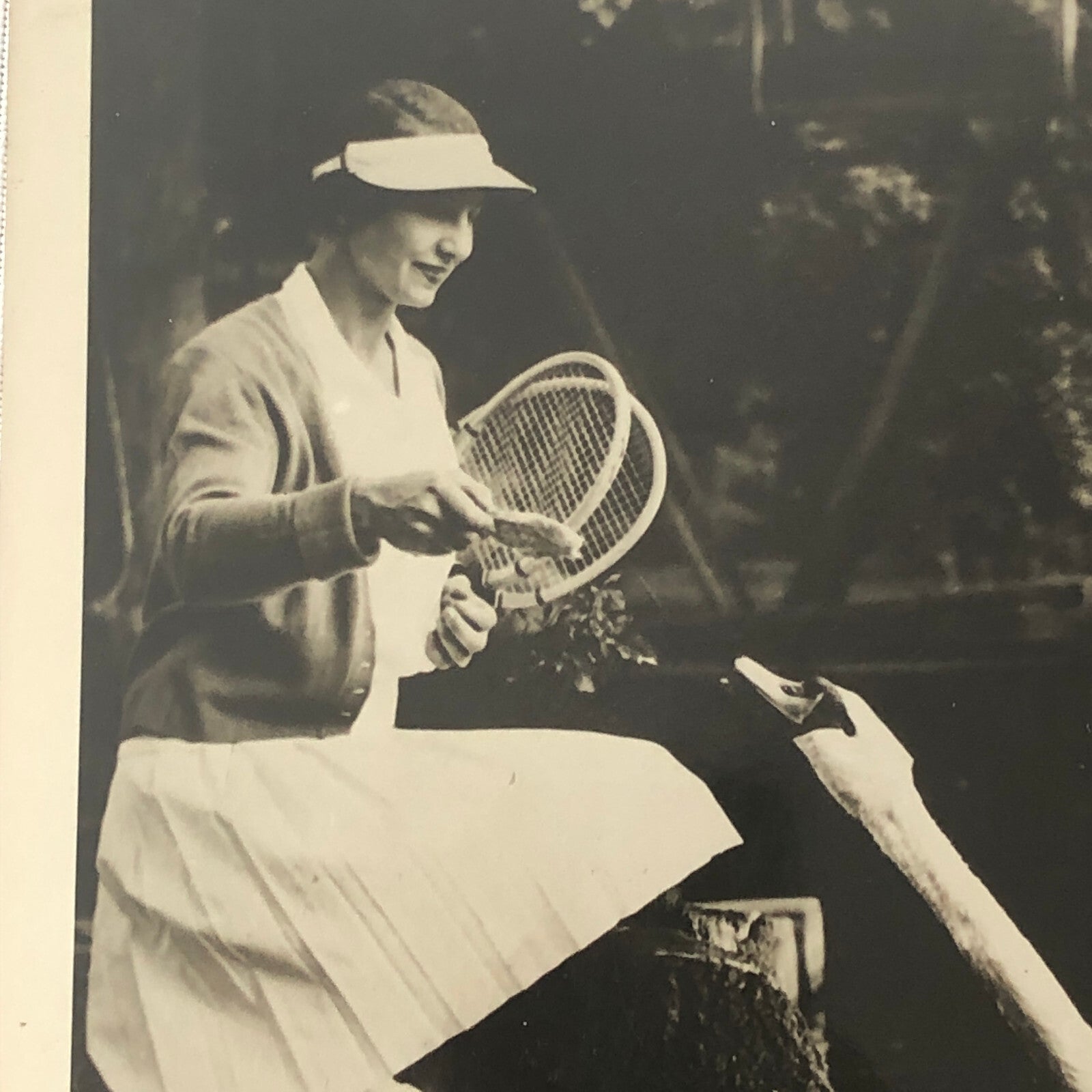 Vintage Press Photo photograph Tennis Star Helen Wills Moody with Swans England