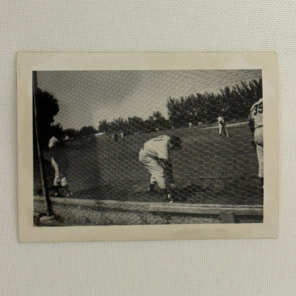 1950 New York Yankees Joe Page Pitcher Photo Photograph Snapshot Baseball NY