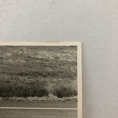 Vintage Motorcycle Racing Photo Photograph 1969 Bill Ivy