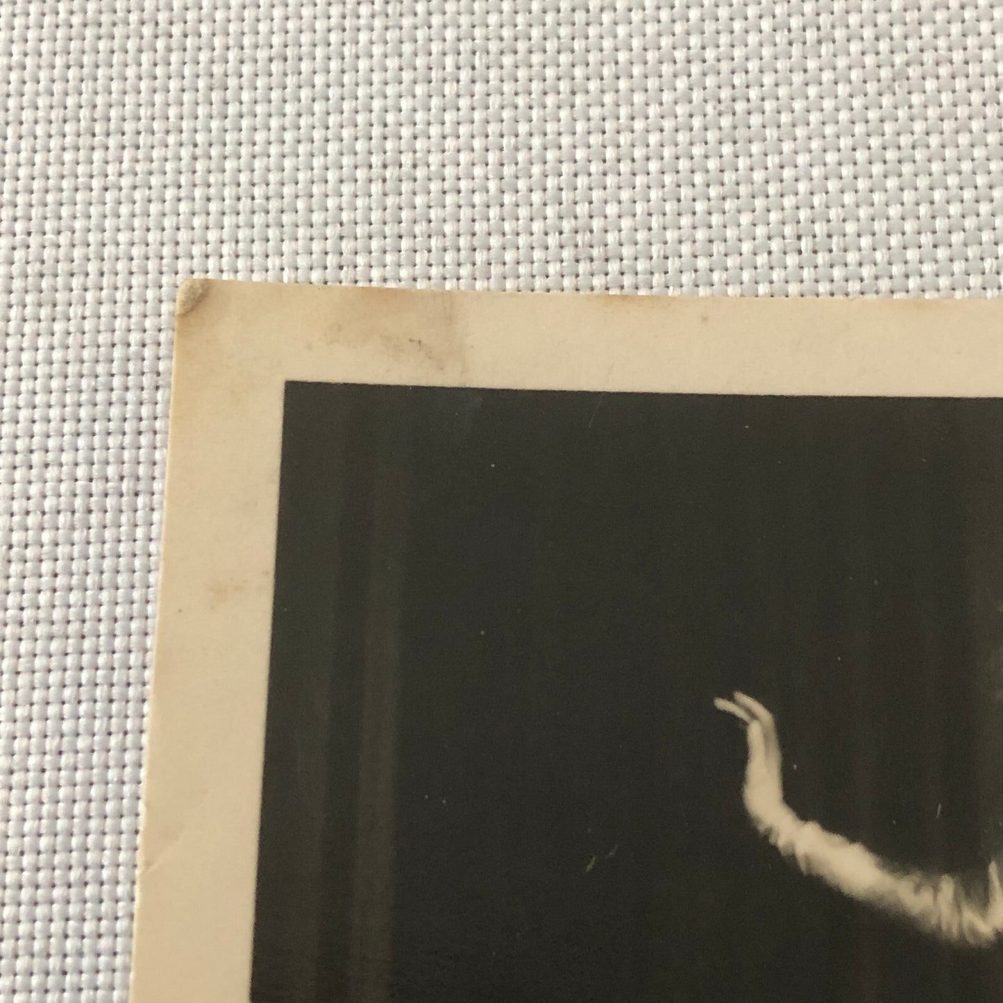 Circus Performer Balancing Act on Unicycle Photo Photograph Renellis