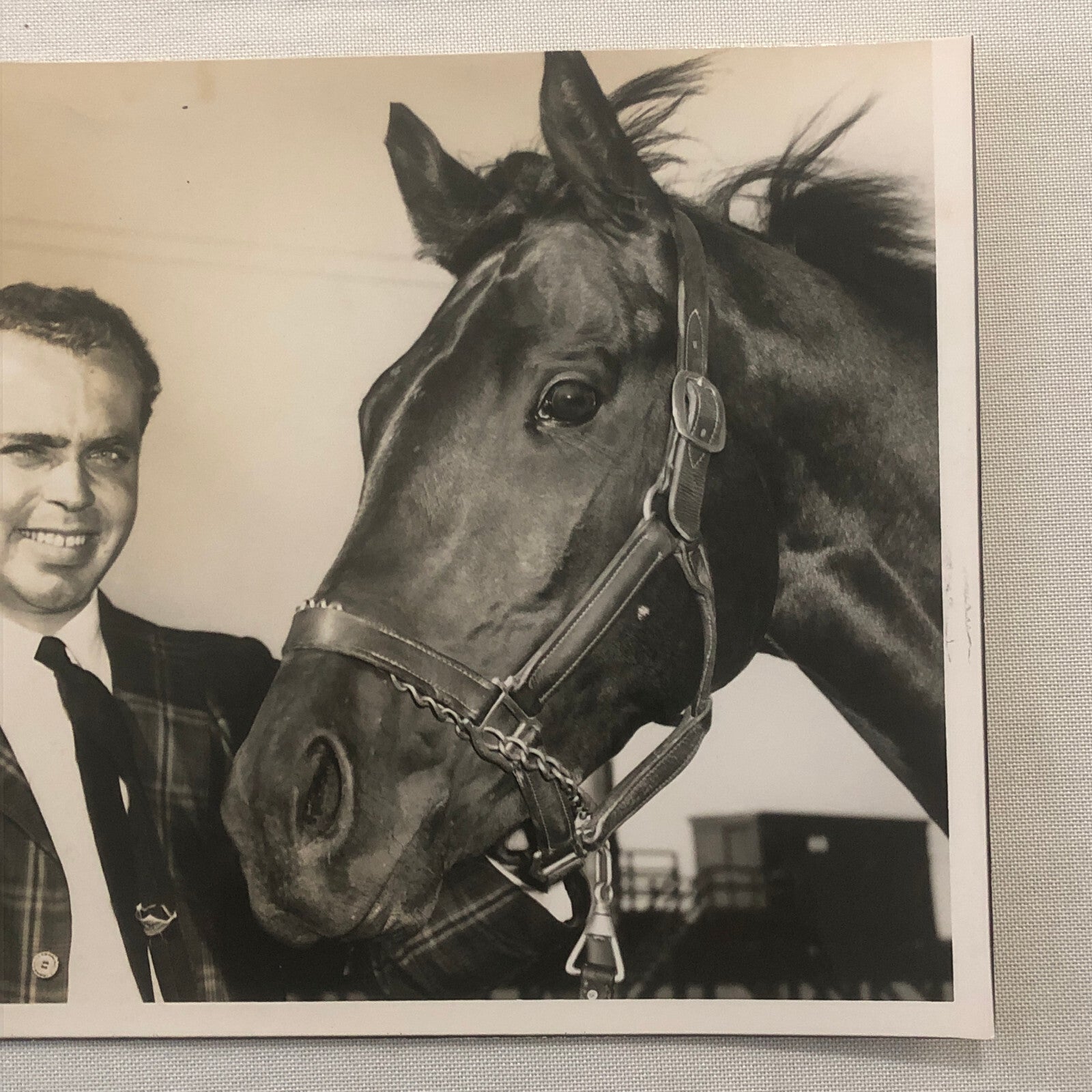 Vintage Horse Racing Photo Photograph Woodbine Racetrack King Gorm Phil Boylen
