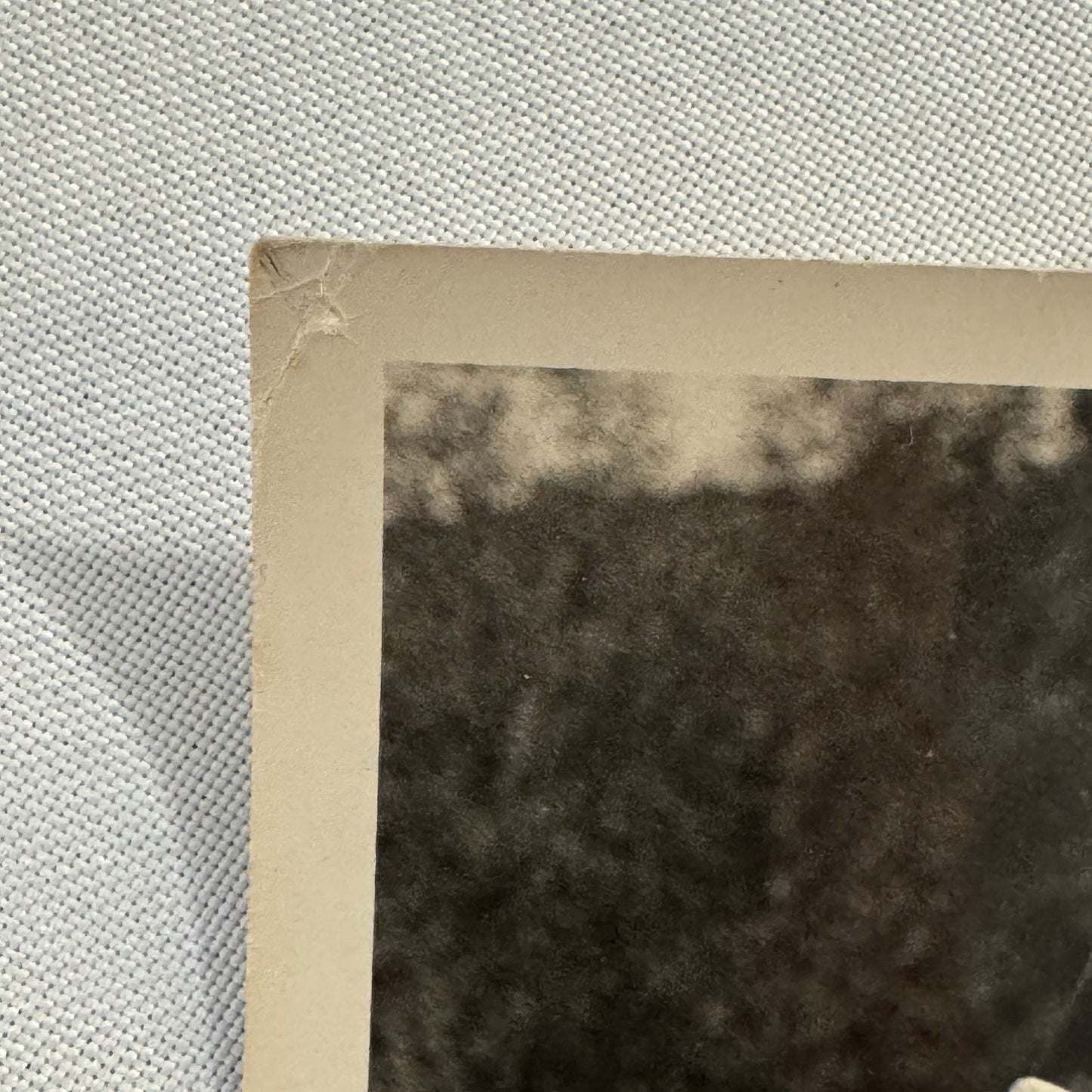 Vintage 1960s Miss Trophy Beauty Contest Bikini Model at Car Race Original Photo