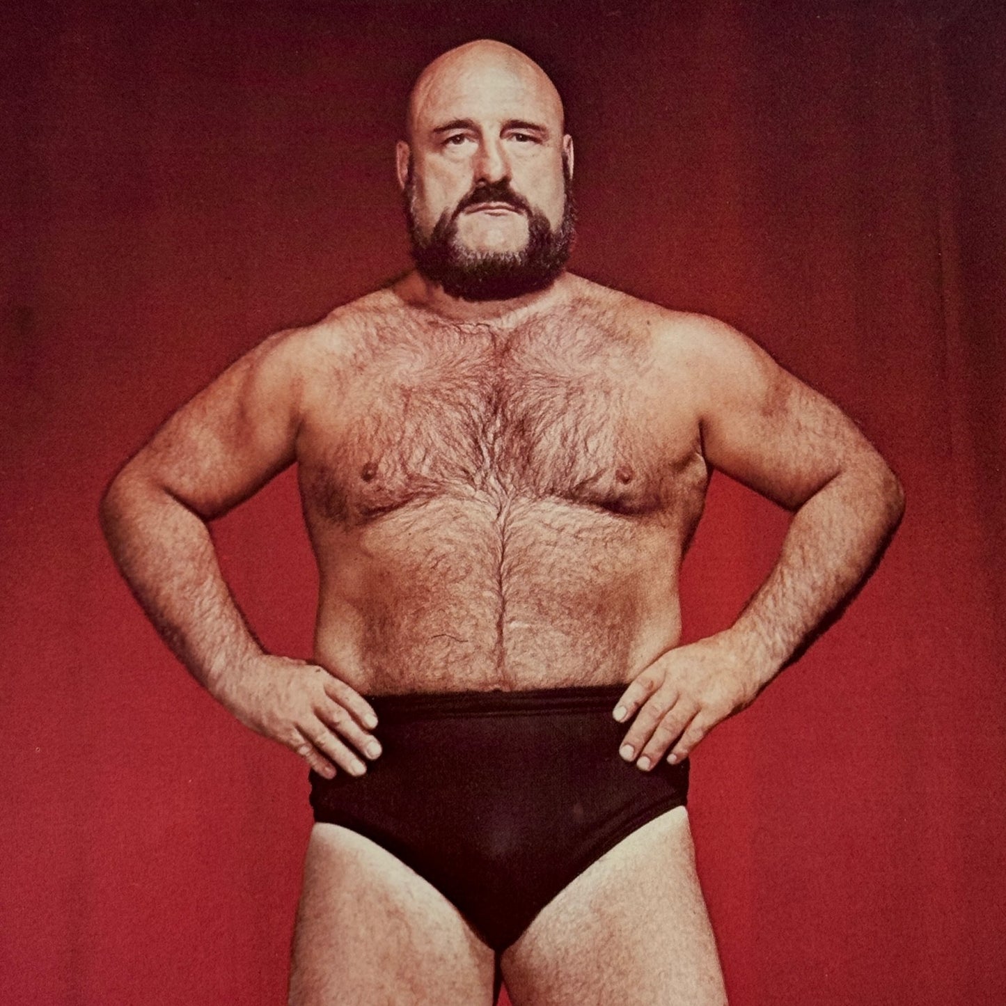 Vintage Wrestling Print Insert Maurice Mad Dog Vachon 1973