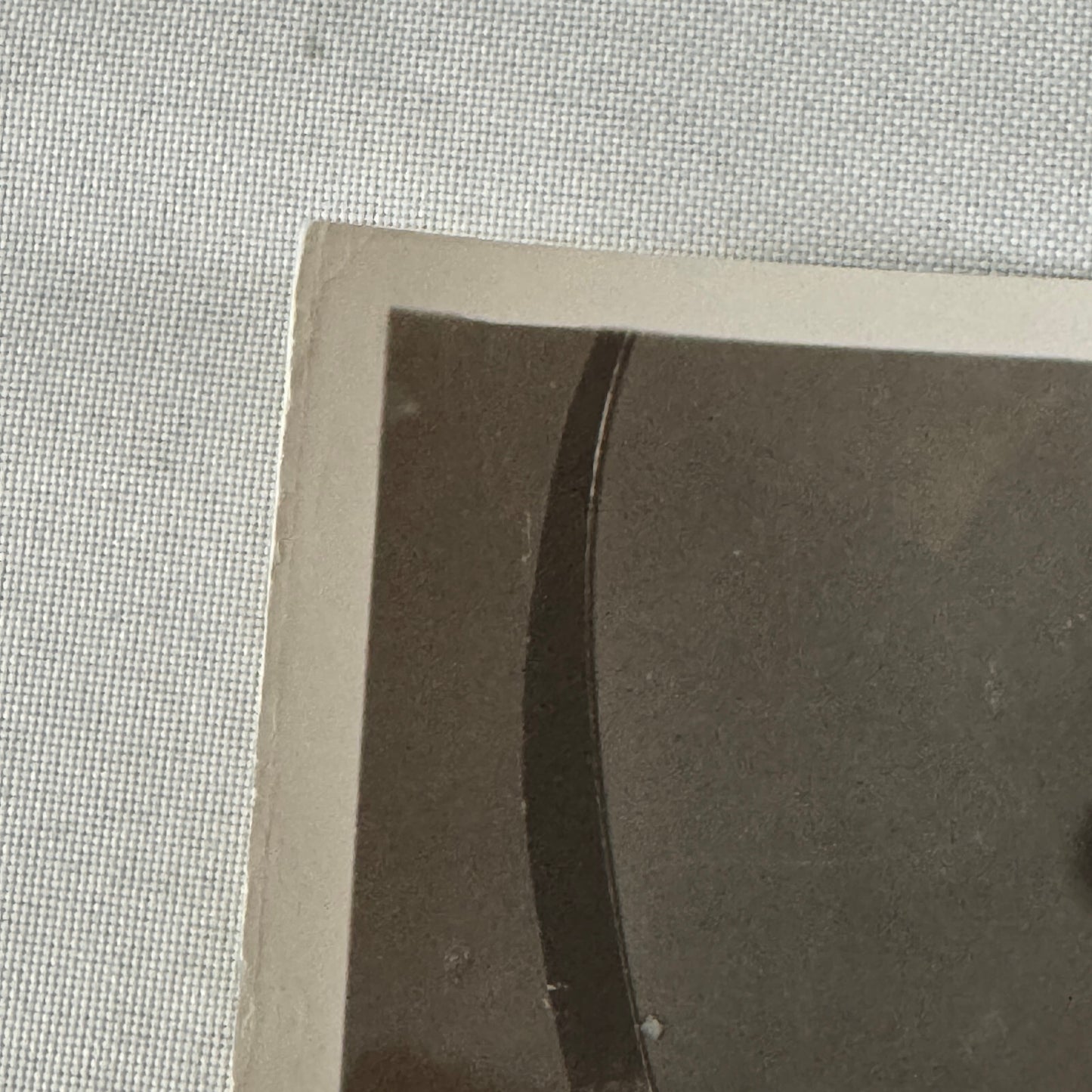 Vintage Movie Photo Photograph Actress with Dog Unidentified