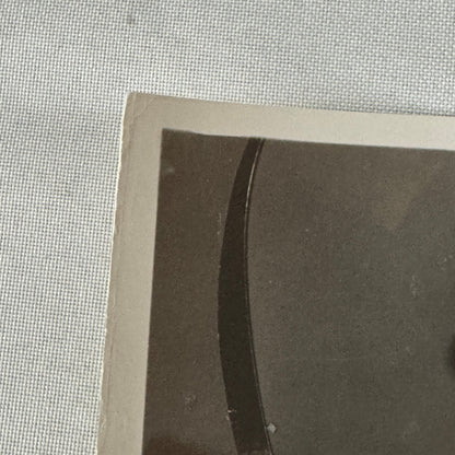 Vintage Movie Photo Photograph Actress with Dog Unidentified