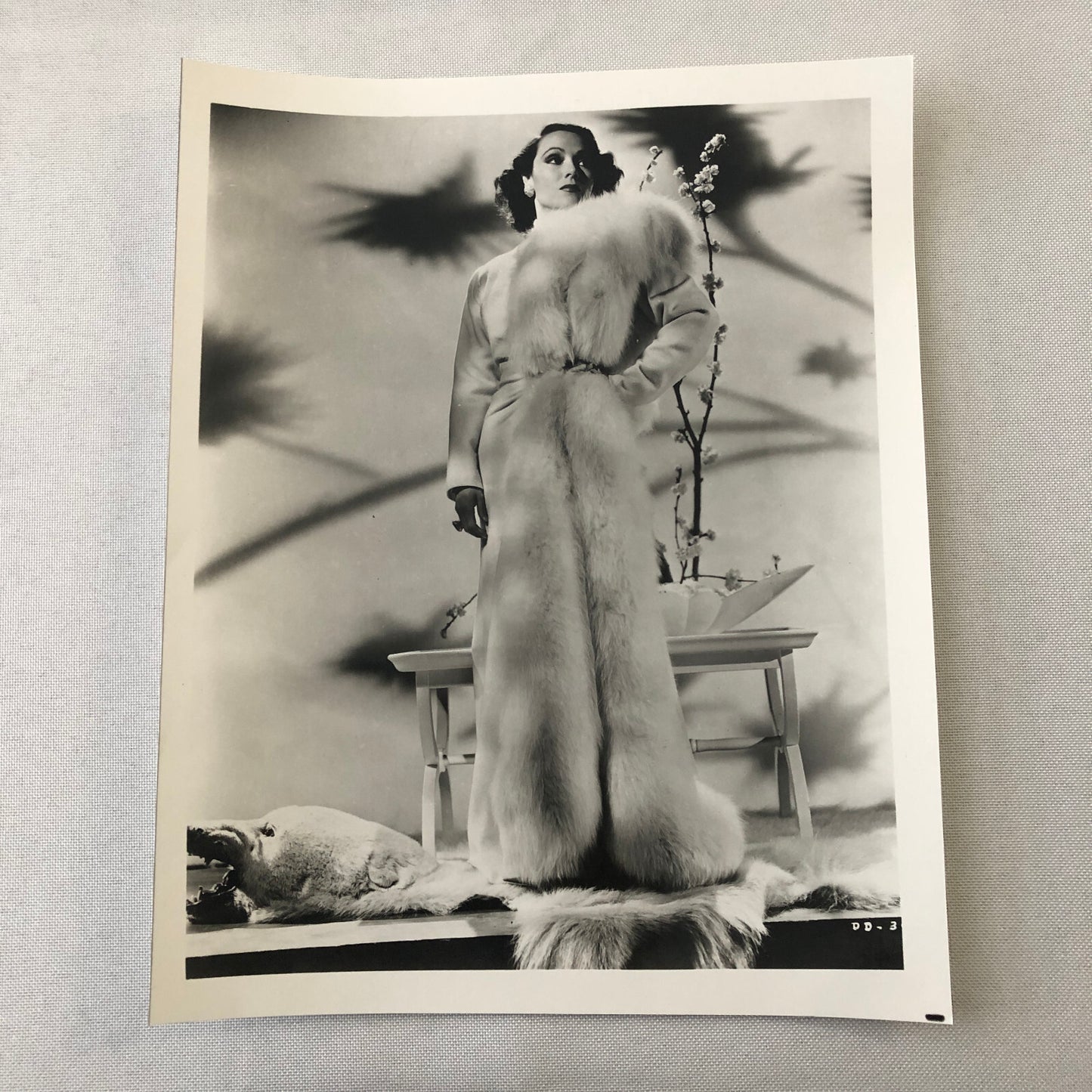Dolores Del Rio Vintage Actress Photo Photograph Print Modern Print