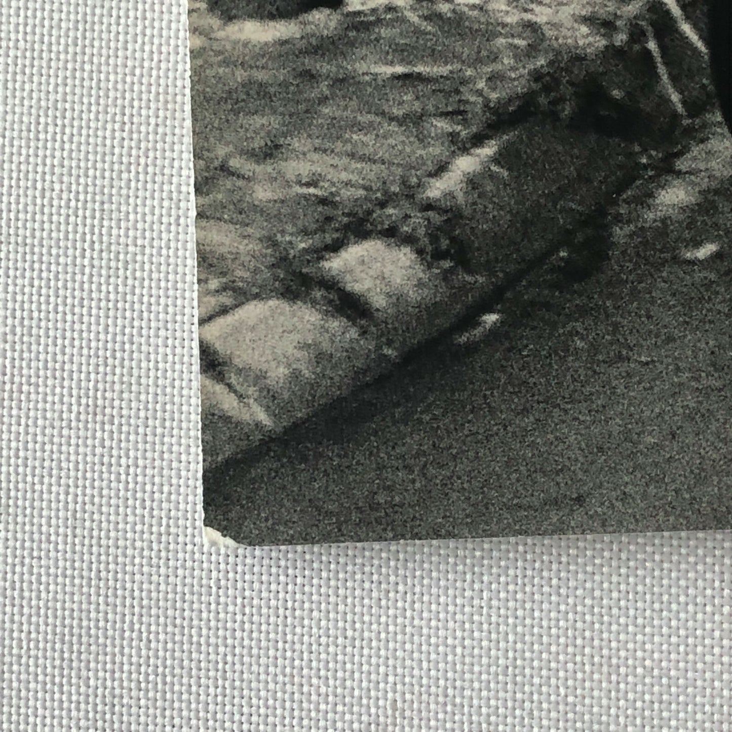 1962 Stirling Moss Lotus Climax Racing Car Photo Photograph 