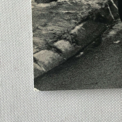 1962 Stirling Moss Lotus Climax Racing Car Photo Photograph 