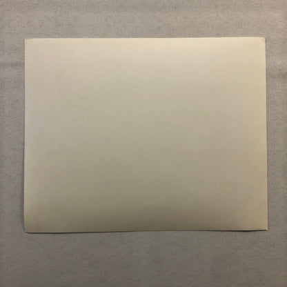 International Velvet Horse Movie Still Photo Photograph Print Tatum O'Neal