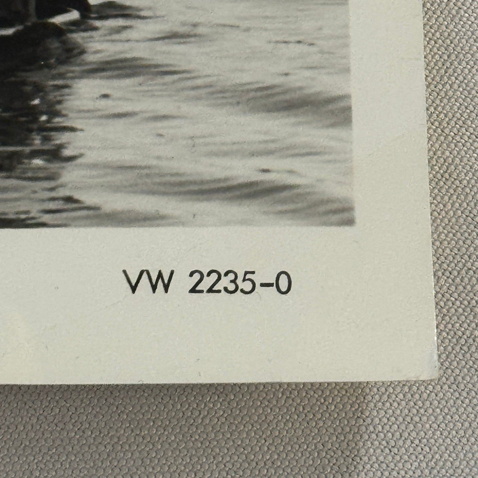 Vintage Ducky Bug Volkswagen Beetle Amphibious Dune Buggy Photo Photograph VW