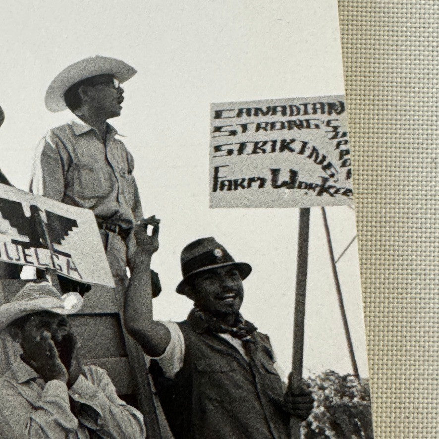 United Farmworkers Union Strike Labour Labor Canada Press Photo Photograph