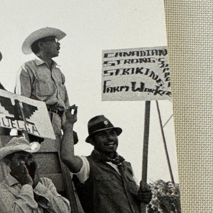 United Farmworkers Union Strike Labour Labor Canada Press Photo Photograph