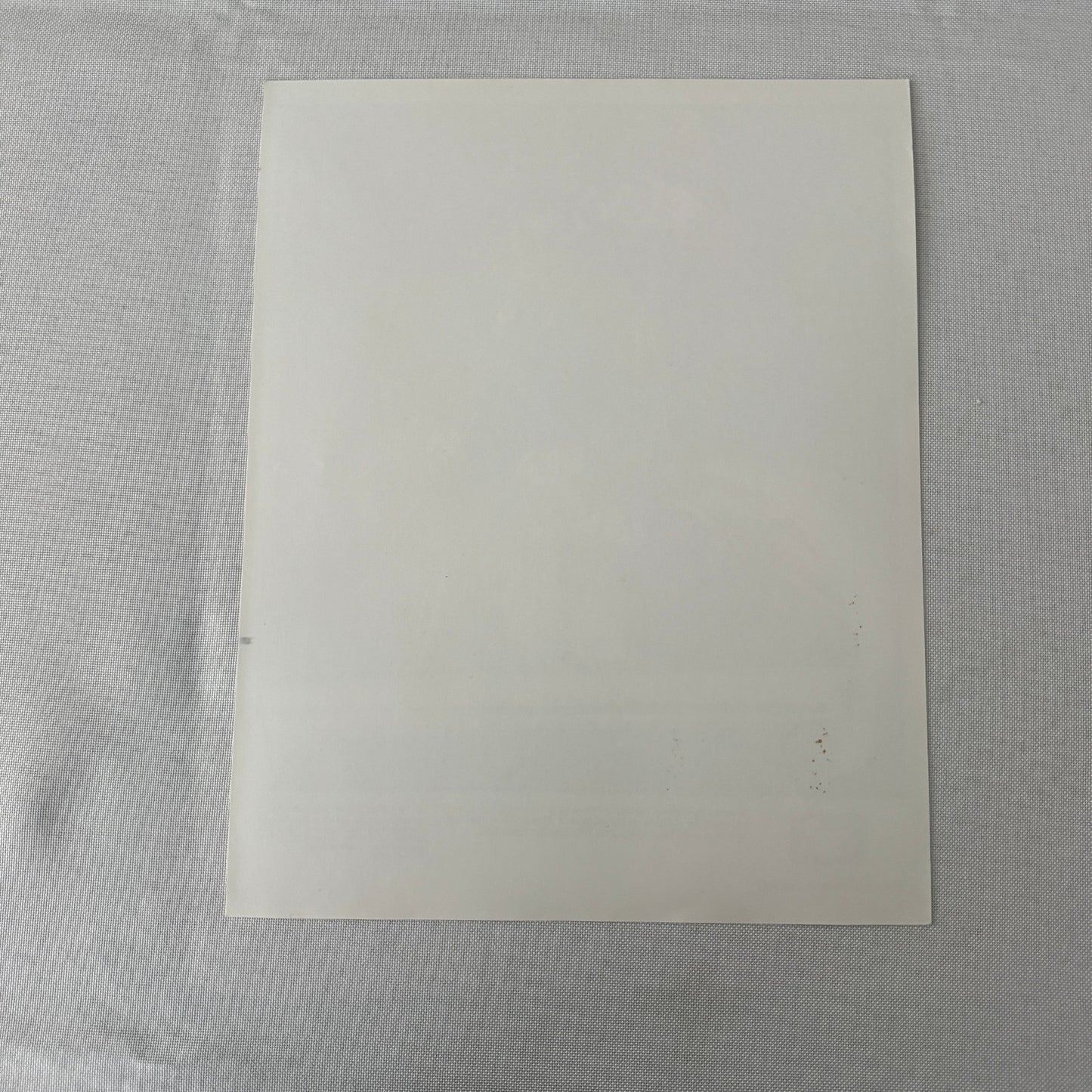 Disney Movie Still Press Photo Photograph Blackbeard's Ghost Vintage