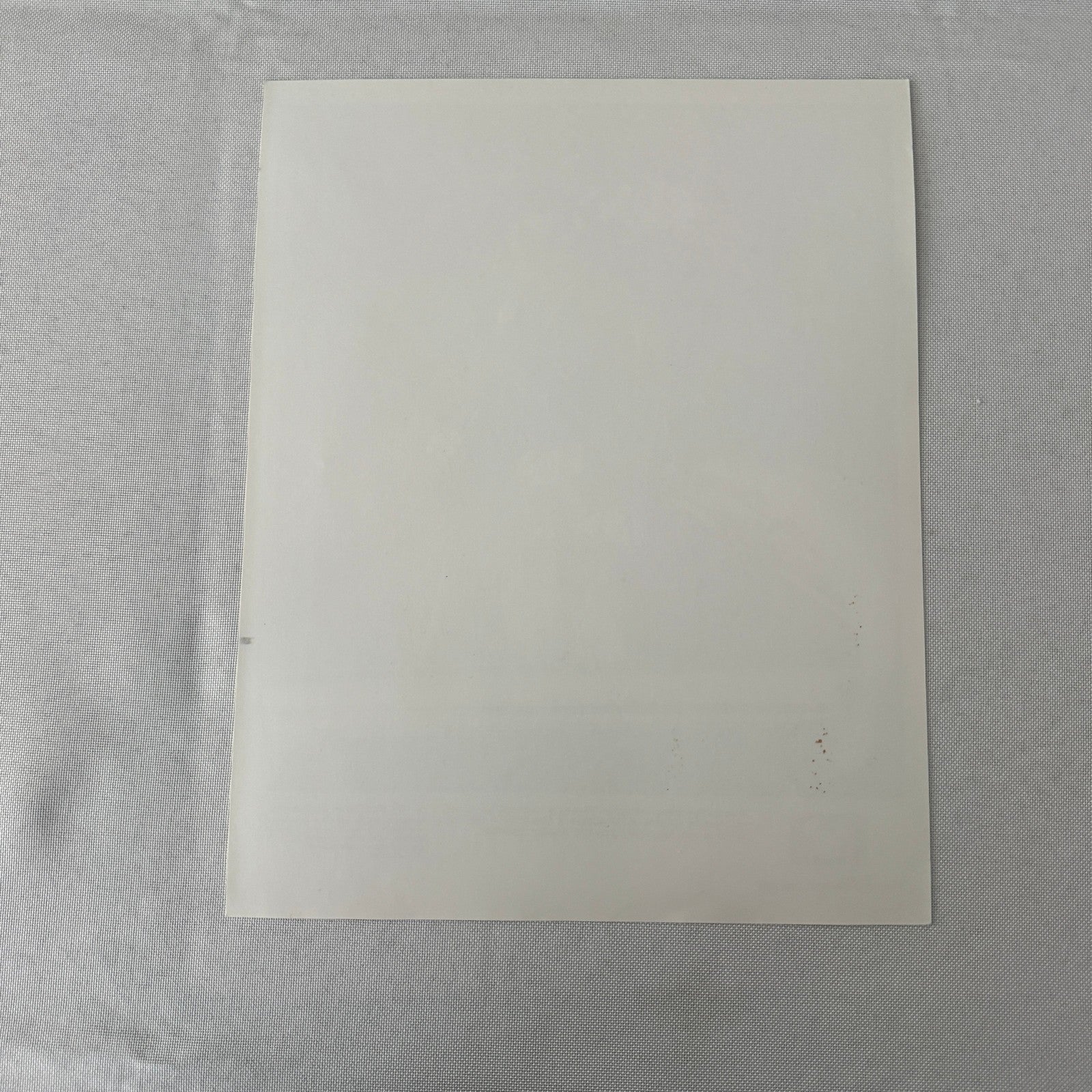 Disney Movie Still Press Photo Photograph Blackbeard's Ghost Vintage