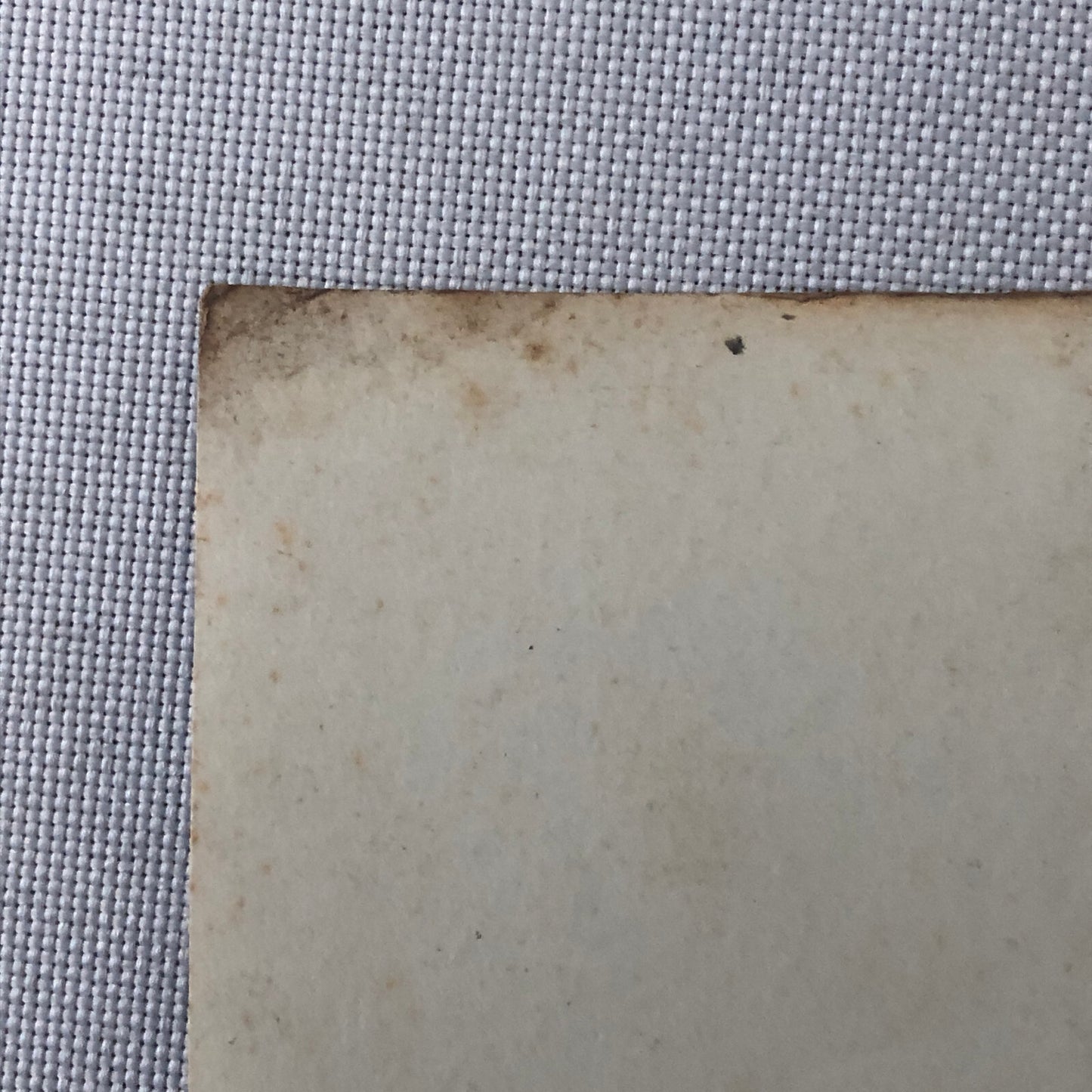 Circus Performer Bicycle Bike Balancing Act Photo Photograph Lot of 2 Vintage