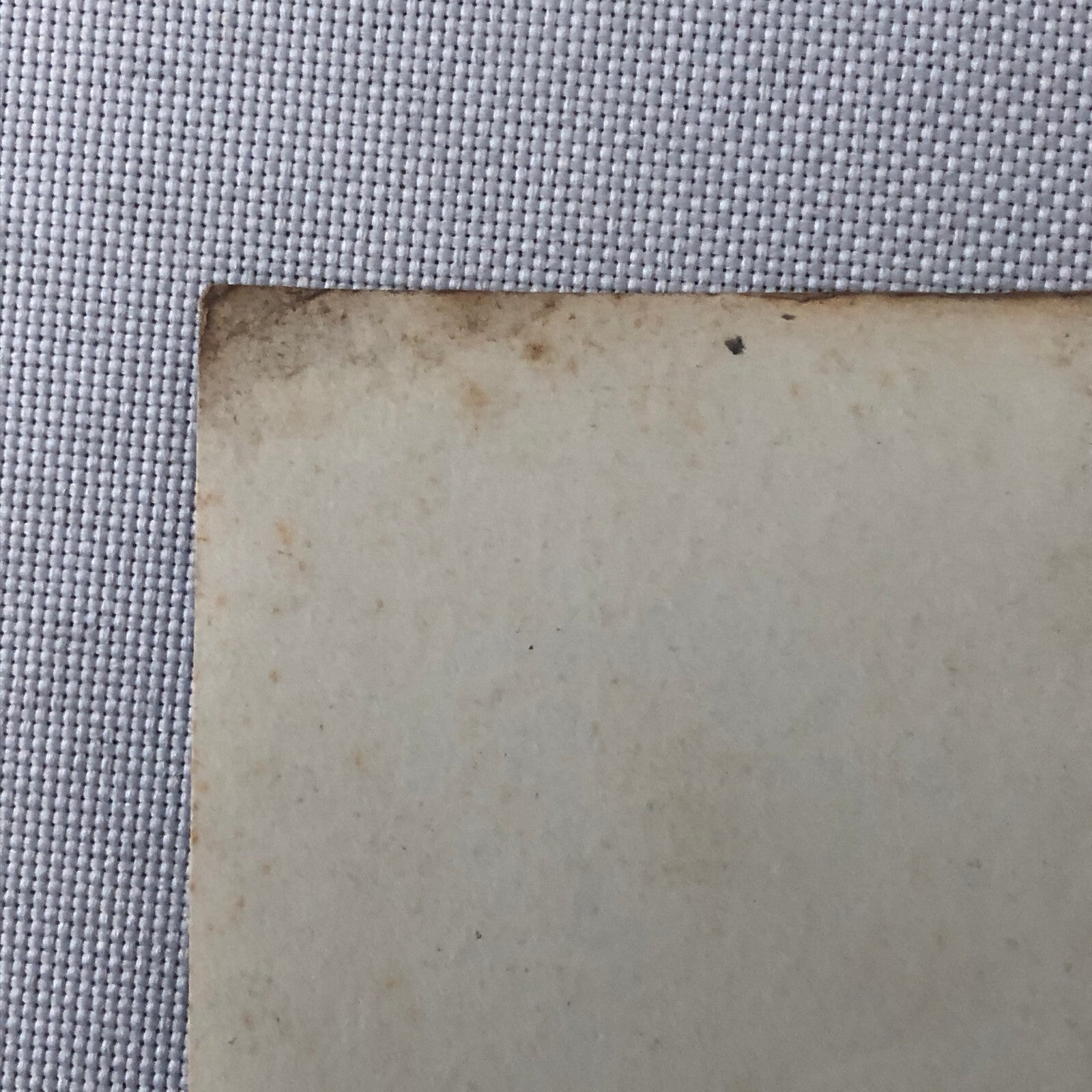 Circus Performer Bicycle Bike Balancing Act Photo Photograph Lot of 2 Vintage