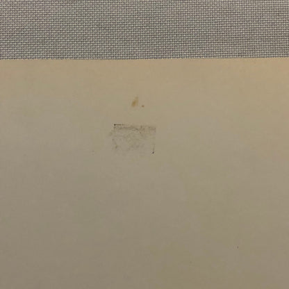 Vintage Movie Still Photo Photograph Print Together Again Irene Dunne