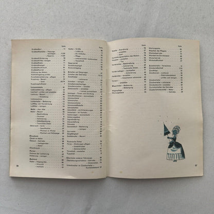 1960 Volkswagen Beetle Owners Manual Instruction Book Convertible Coupe GERMAN