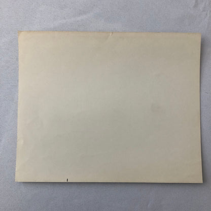 Vintage Indy Indianapolis 500 Racing Photo Photograph Art Pollard STP Lotus 1968